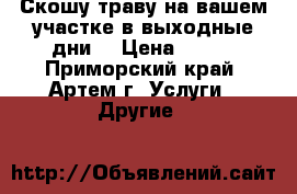 Скошу траву на вашем участке(в выходные дни) › Цена ­ 400 - Приморский край, Артем г. Услуги » Другие   